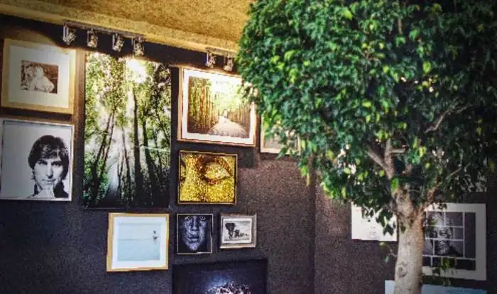 Pared del showroom con fotografías enmarcadas y un árbol