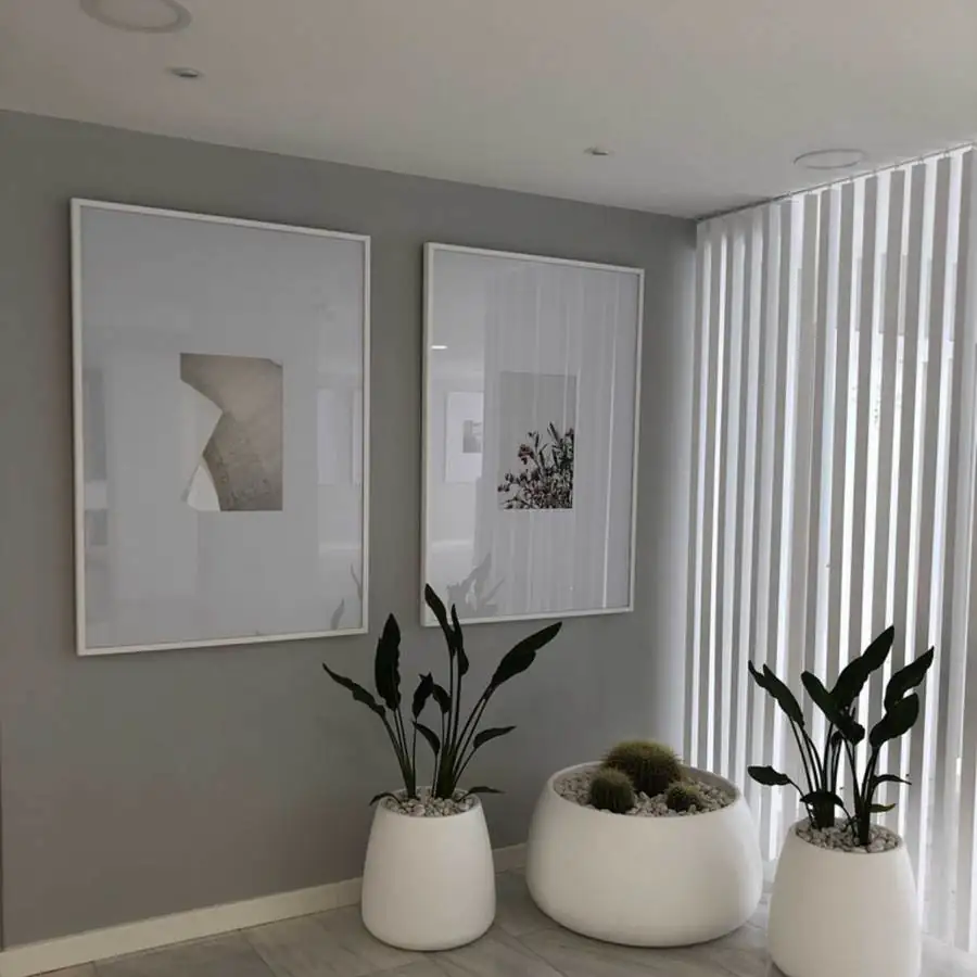 Zona común con dos cuadros enmarcados en blanco junto a las plantas