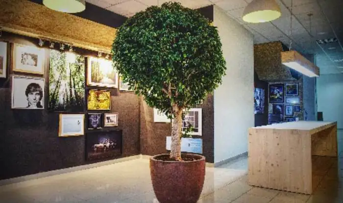 Zona de atención al cliente del showroom